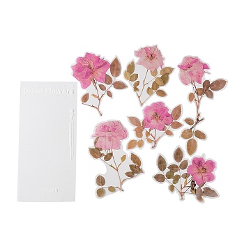 6Pcs PET Self Adhesive Plant Decorative Stickers, Waterproof Vintage Floral Decals, for DIY Scrapbooking, Pink, 106~200x95~135x0.1mm