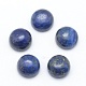 Cabochons en lapis lazuli naturel(X-G-E492-H-18)-1