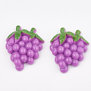 Resin Cabochons, Grape, Dark Orchid, 31x26x8mm(CRES-S358-09)