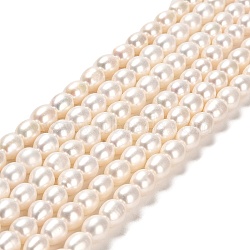 Natural Cultured Freshwater Pearl Beads Strands, Rice, Grade 5A, Old Rose, 7~8x6~7mm, Hole: 0.7mm, about 43~45pcs/strand, 14.37~14.57''(36.5~37cm)(PEAR-E016-197)