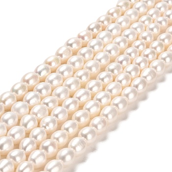 Natural Cultured Freshwater Pearl Beads Strands, Rice, Grade 5A, Old Rose, 7~8x6~7mm, Hole: 0.7mm, about 43~45pcs/strand, 14.37~14.57''(36.5~37cm)