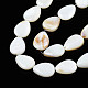Natural White Shell Beads Strands(PBB263Y-1)-5