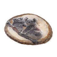 Printed Natural Agate Slice Stone Ornament, for Good Luck Home Office Decor, Koala, 115~125x110~130x7~8mm(DJEW-M011-04B)