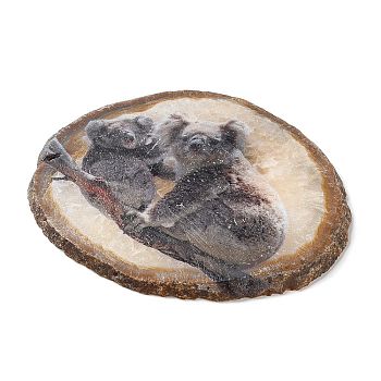 Printed Natural Agate Slice Stone Ornament, for Good Luck Home Office Decor, Koala, 115~125x110~130x7~8mm