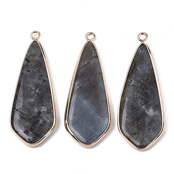 Natural Labradorite Pendants, with Light Gold Plated Brass Edge and Loop, Teardrop, 49x18x4.5mm, Hole: 2.5mm