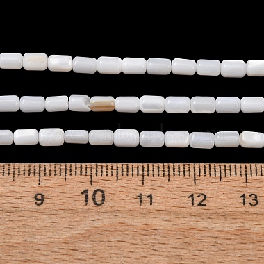 Natural Freshwater Shell Beads Strands(SH-CBA2978-21A)-4