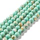 Synthetic Turquoise and Sea Shell Assembled Beads Strands(G-D482-01D-08)-2