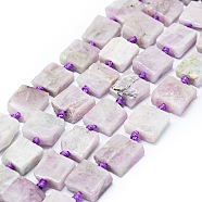 Natural Kunzite Beads Strands, Square, 10~12x11~12x4~6mm, Hole: 0.8mm, about 28pcs/strand, 15.75 inch(40cm)(G-F725-25)
