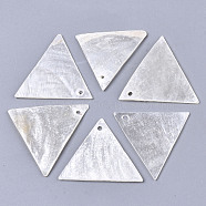 Natural Capiz Shell Pendants, Triangle, Creamy White, 23~25x28~29x1mm, Hole: 1.4mm(SHEL-N026-44)