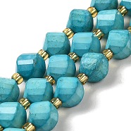 Dyed Natural Howlite Beads Strands, with Seed Beads, Faceted Twist, Dark Cyan, 8x8.5x7mm, Hole: 1mm, about 39pcs/strand, 15.51 inch(39.4cm)(G-G023-B01-02C)