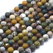 Natural Ocean Jasper Beads Strands, with Gold Point, Faceted, Round, 8mm, Hole: 1mm, about 49pcs/Strand, 15.16 inch(38.5cm)(G-D0013-66)