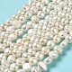 Natural Cultured Freshwater Pearl Beads Strands(PEAR-E017-03)-2