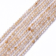 Natural Rutilated Quartz Beads Strands, Faceted, Round, 2mm, Hole: 0.5mm, about 203~205pcs/strand, 15.55~15.75 inch(39.5~40cm)(G-G991-A01)