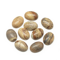 Natural Picture Jasper Cabochons, Oval, 18x13x5mm(X-G-R415-13x18-42)