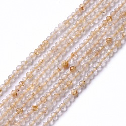 Natural Rutilated Quartz Beads Strands, Faceted, Round, 2mm, Hole: 0.5mm, about 203~205pcs/strand, 15.55~15.75 inch(39.5~40cm)(G-G991-A01)