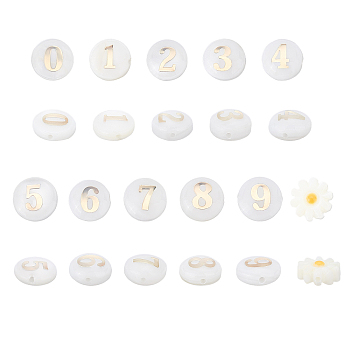 22Pcs 10 Style Natural Freshwater Shell Beads, with Golden Plated Brass Metal Embellishments, Flat Round with Number & Flower, Flat Round, 2pcs/style