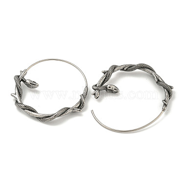 316 Surgical Stainless Steel Hoop Earrings for Women and Men(EJEW-D096-22A-AS)-2