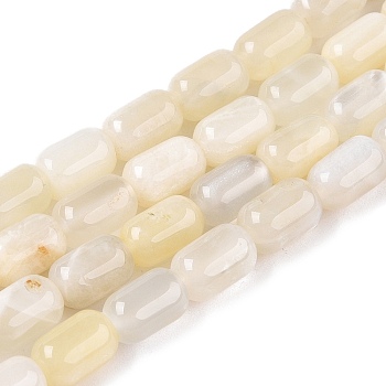 Natural White Moonstone Beads Strands, Column, 9~9.5x6mm, Hole: 0.9~1mm, about 42~43pcs/strand, 15.24~15.8''(38.7~39.5cm)