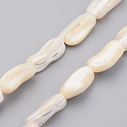 Natural Shell Bead Strands, Nugget Stick, Old Lace, 16~19x8~10x4~7mm, Hole: 1mm, about 24pcs/strand, 15.2 inch(BSHE-P021-04)