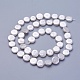 Chapelets de perles de coquille(X-BSHE-P030-01A)-1