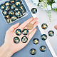 48pcs 12 Style Glass Cabochons(GLAA-AR0001-11)-3