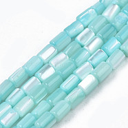 Natural Trochid Shell/Trochus Shell Beads Strands, Dyed, Column, Pale Turquoise, 4~5x3~3.5mm, Hole: 0.9mm, about 77~78pcs/strand, 15.55 inch~15.75 inch(39.5~40cm)(SHEL-N003-26-B09)