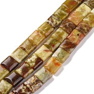 Natural Dragon Blood Jabe Beads Strands, Square, 10x10x6mm, Hole: 1mm, about 20pcs/strand, 8.07''(20.5cm)(G-E572-03)