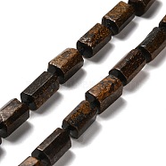 Natural Bronzite Beads Strands, with Seed Beads, Faceted, Column, 8.5~13x6~8x6~8mm, Hole: 1mm, about 28~32pcs/strand, 15.98~18.90''(40.6~48cm)(G-K245-I15-01)