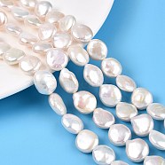 Natural Keshi Pearl Beads Strands, Cultured Freshwater Pearl, Baroque Pearls, Flat Round, Creamy White, 12~14x11~12.5x5~7.5mm, Hole: 0.6mm, about 14~15pcs/strand, 7.48~7.87(19~20cm)(PEAR-S018-02I-01)