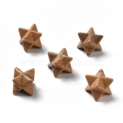 Natural Picture Jasper Beads, No Hole/Undrilled, Merkaba Star, 14.5~15x14.5~15x14.5~15mm(G-A206-01A-21)