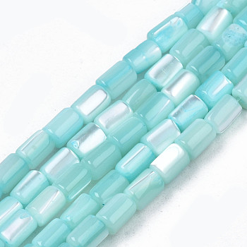 Natural Trochid Shell/Trochus Shell Beads Strands, Dyed, Column, Pale Turquoise, 4~5x3~3.5mm, Hole: 0.9mm, about 77~78pcs/strand, 15.55 inch~15.75 inch(39.5~40cm)