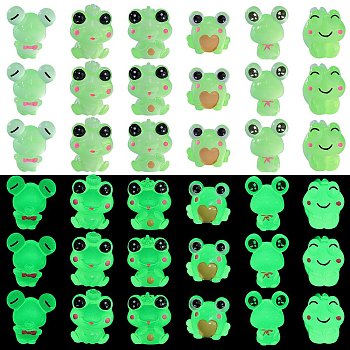 36Pcs 6 Styles Frog Luminous Resin Display Decorations, Glow in the Dark, for Car or Home Office Desktop Ornaments, Mixed Shapes, 16~20x16~24x16~25mm, 6pcs/style