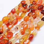 Natural Carnelian Beads Strands, Tumbled Stone, Nuggets, 8~15x5~10mm, Hole: 1mm, 15.3 inch~15.7 inch(39~40cm)(G-K203-29A)