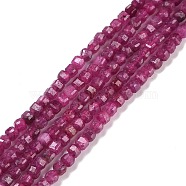 Natural Ruby/Red Corundum Beads Strands, Faceted, Cube, 2.5x2.5x2.5mm, Hole: 0.5mm, about 186~188pcs/strand, 15.16~15.35 inch(38.5~39cm)(G-C009-B13)