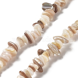 Natural Freshwater Shell Beads Strands, Chip, Old Lace, 1~8x5~17x5~8mm, Hole: 0.9~1mm, 30.31~31.50''(77~80cm)(G-M205-85B)
