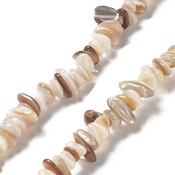 Natural Freshwater Shell Beads Strands, Chip, Old Lace, 1~8x5~17x5~8mm, Hole: 0.9~1mm, 30.31~31.50''(77~80cm)