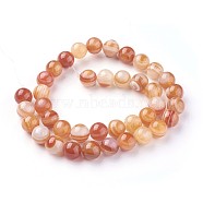 Natural Red Agate Beads Strands, Eye Agate Beads, Round, 12mm, Hole: 1mm, about 32~35pcs/strand, 15.7 inch(40cm)(G-F619-38-12mm)