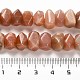 Natural Sunstone Beads Strands(G-N327-05-12)-5