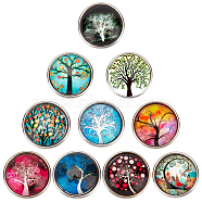 30pcs 10 color Platinum Plated Brass Glass Flat Round with Tree Jewelry Snap Buttons, Cadmium Free & Nickel Free & Lead Free, Mixed Color, 18~19x9~9.5mm, Knob: 5.5mm, 3pcs/color(SNAP-SC0001-01-NR)