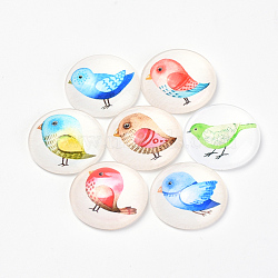 Printed Glass Flat Back Cabochons, Dome/Half Round, Bird Pattern, Mixed Color, 20x6mm(GGLA-Q056-012-20mm)