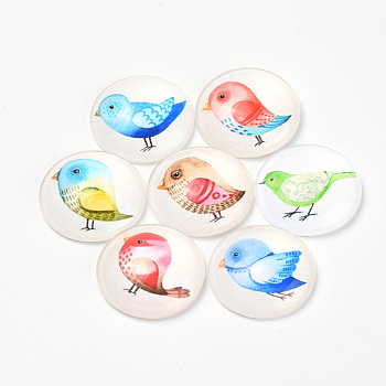 Printed Glass Flat Back Cabochons, Dome/Half Round, Bird Pattern, Mixed Color, 20x6mm