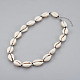 Cowrie Shell Beaded Necklaces(X-NJEW-JN02293)-1