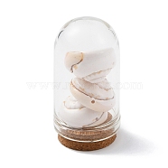 Glass Dome Bottle Display Decorations, with Natural Shell Bead Inside and Cork Base, PapayaWhip, 46~48x25mm(AJEW-JD00008-02)