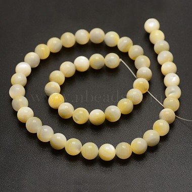 Round Yellow Shell Beads Strands(BSHE-N006-01-8mm)-3