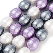 Electroplated Shell Pearl Beads Strands, Grooved Oval Beads, Mixed Color, 17x13mm, Hole: 0.8mm, about 24pcs/strand, 15.94''(40.5cm)(BSHE-H110-01-01)