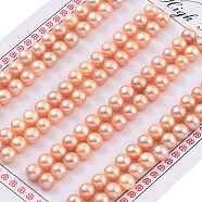 Grade 6A Natural Cultured Freshwater Pearl Beads, Half Drilled, Half Round Beads, Pink, 5.5~6x4mm, Hole: 1mm(PEAR-N018-6A-5560B)