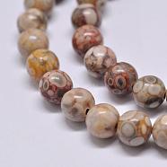Natural Medicinal Beads Strands, Round, Colorful, 8mm, Hole: 1mm, about 48pcs/strand, 15.1 inch(G-F353-8mm)