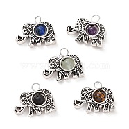 Natural Mixed Stone Pendants, Elephant Charm, with Antique Silver Tone Alloy Findings, 14.5x18x4.5mm, Hole: 2mm(X-PALLOY-JF01714-02)