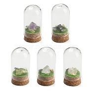 Natural Gemstone Nuggets Display Decoration with Glass Dome Cloche Cover, Cork Base Bell Jar Ornaments for Home Decoration, 30x59~60.5mm(DJEW-B009-03)