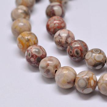 Natural Medicinal Beads Strands, Round, Colorful, 8mm, Hole: 1mm, about 48pcs/strand, 15.1 inch